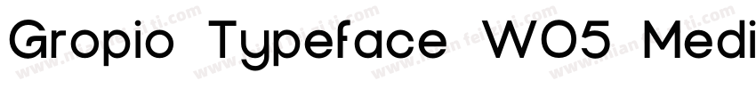 Gropio Typeface W05 Medium字体转换